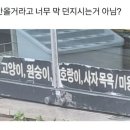 동물 미용실의 무리수 이미지