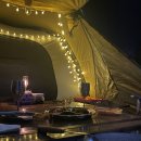 수목화 송정마을 오토캠핑장 | 21-11.06(강원도) 송정마을 수목화 오토캠핑장