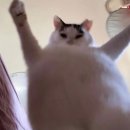 대명각 | 🥐 군산 맛집 투어: 이성당, 지린성, 대명각 솔직 후기! 🍜