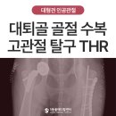 포항재활의학병원 | 골절·고관절 탈구 고난도 수술 사례 | 국내 최초 Blue SAO THR Case - 울산 인공관절 전문 동물병원