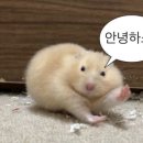 리엘뷰티