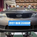 하단동185 이미지