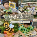 창녕우포곤충나라 | 경남 아이랑 갈만한곳 창녕우포곤충나라 상세후기
