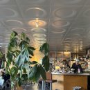 오하이오 | 강릉 데이트장소 추천 파스타 맛집 [오하이오] 내돈내산 방문후기