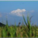 마음의안경 이미지