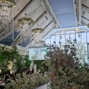 하늘땅한식뷔페 | 신도림 라마다호텔 웨딩 뷔페 하늘정원 겨울 하객 후기