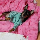 개편한집 이미지