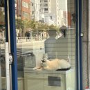 루타이천안 이미지