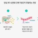 지방간 없애는 방법 이미지