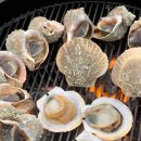 코리아메디칼 이미지