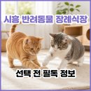 시흥우리장례식장 | 시흥 반려동물 장례식장 합법 시설이 없어요. 시흥 동물 장례 주의사항, 절차, 후기 총정리