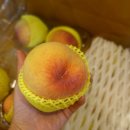 황도축산 이미지