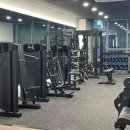 머슬원핏 배곧신도시점 이미지