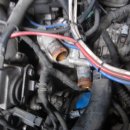 애니카랜드 화원점 이미지