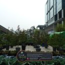 금천구청 이미지