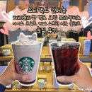 블라썸잉글리시 | 스타벅스 3월 신메뉴 체리블라썸 백도 크림 프라푸치노 아이스 브루드 커피 스프링 시즌 블렌드 솔직 후기
