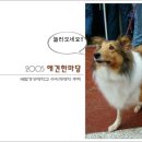 (주)한마당 Daum카페