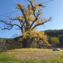 내산2리 이미지