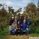 이영식농장 이미지