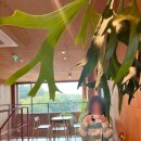 대흘초등학교 | 제주 독립서점 그림책 힐링 사슴책방