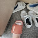 우성어패럴 | 대한독립만세~