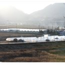 진양수산 - 강릉시 | 진양수산