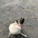 강화촌놈 그랑빌펜션 이미지