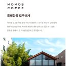 모모스