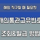 초로직구