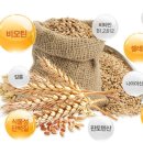 (주)스킨드라이브 이미지