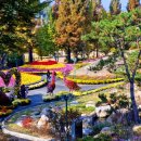 월선캠핑장 | "10년 만에 채석장이 이렇게 바뀌었다니"... 튤립·수선화 100만 송이 피어나는 아산 피나클랜드수목원...