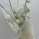 다인안경원 | 블챌이 돌아왔다고? 나도 돌아옴