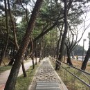 송림테마거리 이미지