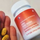 신체의 열매 | Jambaekee BERBERINE 초고순도 매자나무 열매 잠백이 파이토 베르베린 복용후기