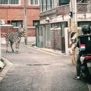 활보농장 이미지