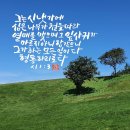성민목장 이미지