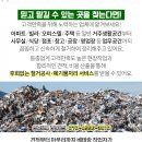 홍순남이비인후과의원 네이버블로그