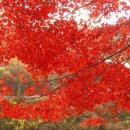 소유산 - 강화군 남문안길 31 | 소유산