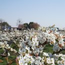 이상진농장 이미지