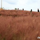 북동농원 이미지