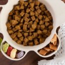 강아지랑나랑 이미지