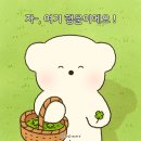 구미숲요양병원 이미지