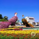 금산인삼관 이미지