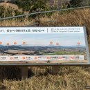 소망통닭 | 제주 #4 | 함덕해수욕장, 오드랑베이커리, 해녀김밥, 사려니숲길, 용눈이오름, 아베베 비킬라, 돌담통닭
