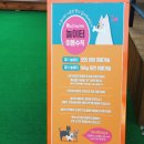 펫넘버원 이미지