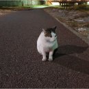 공감농장