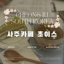 향군로 | 청주 사주 잘보는곳 사주카페 초이스 신년운세 후기