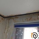 역동로34번길 이미지