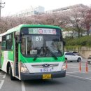 조선대 버스정류장 이미지