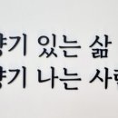 아로마네이쳐